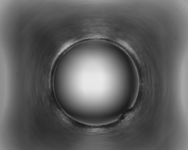 X0000086251173200704051234