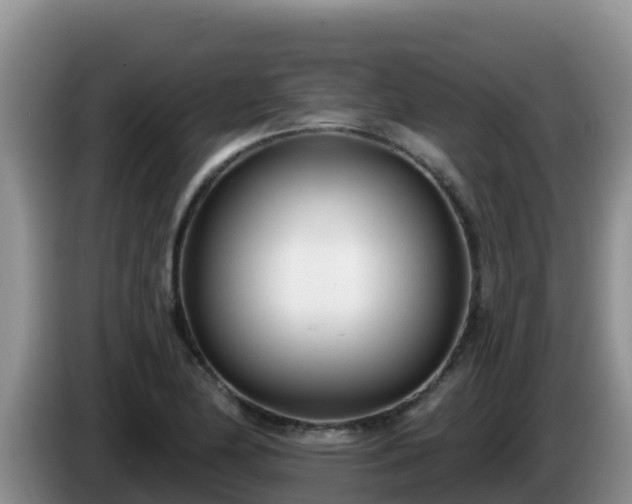 X0000086251174200704051234