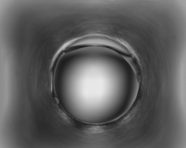X0000086251175200704051234