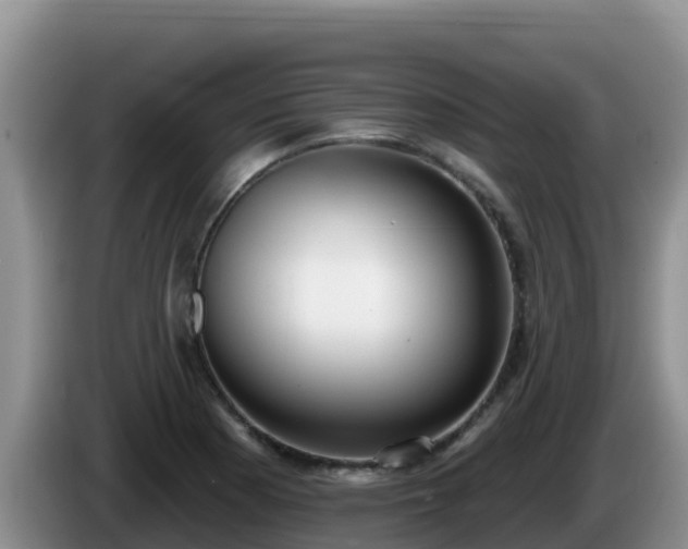 X0000086251177200704051234