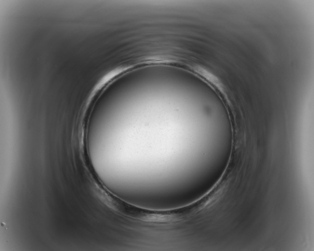 X0000086251179200704051234