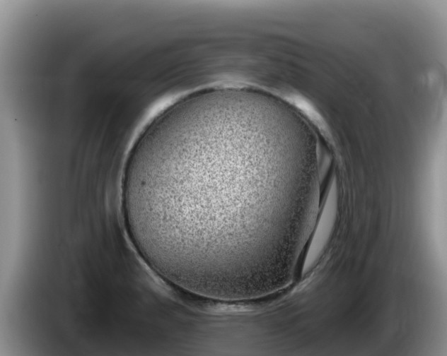 X0000086251183200704051234
