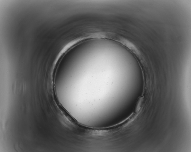 X0000086251184200704051234