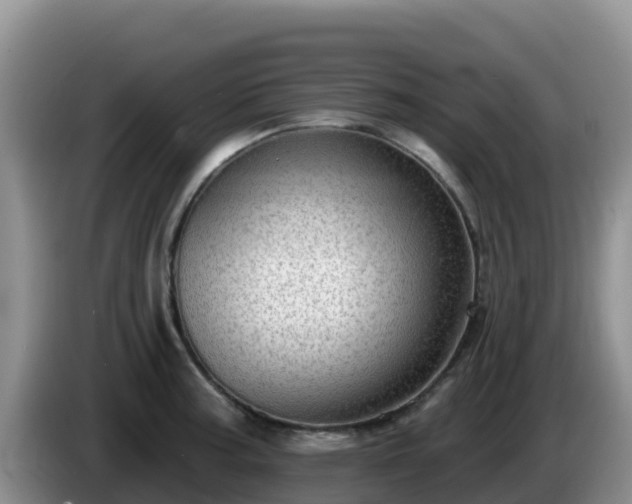 X0000086251187200704051234