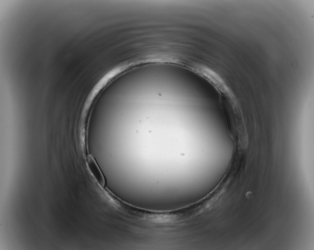 X0000086251188200704051234