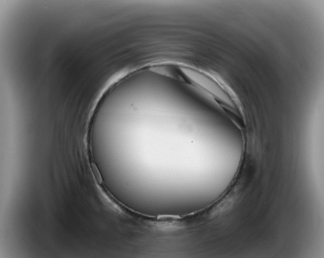 X0000086251189200704051234