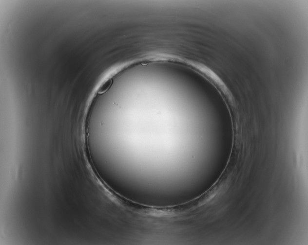 X0000086251191200704051234