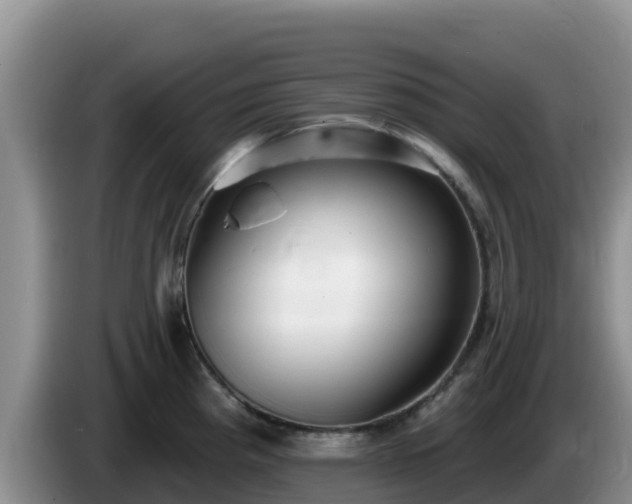 X0000086251193200704051234