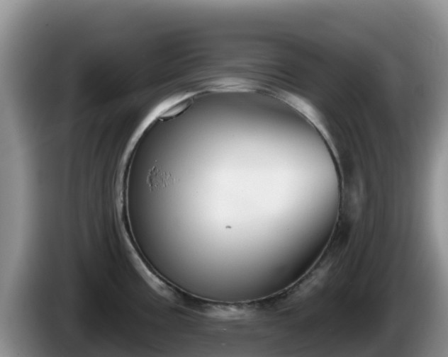 X0000086251195200704051234