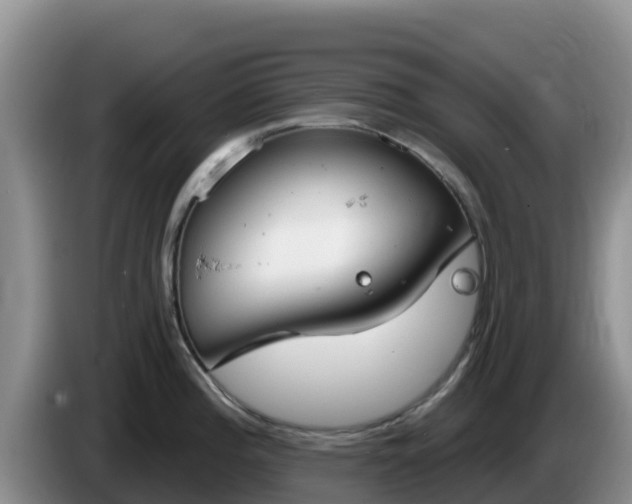 X0000086251196200704051234