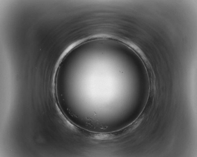 X0000086251199200704051234