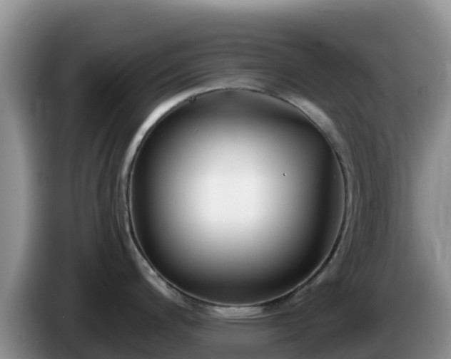 X0000086251200200704051234