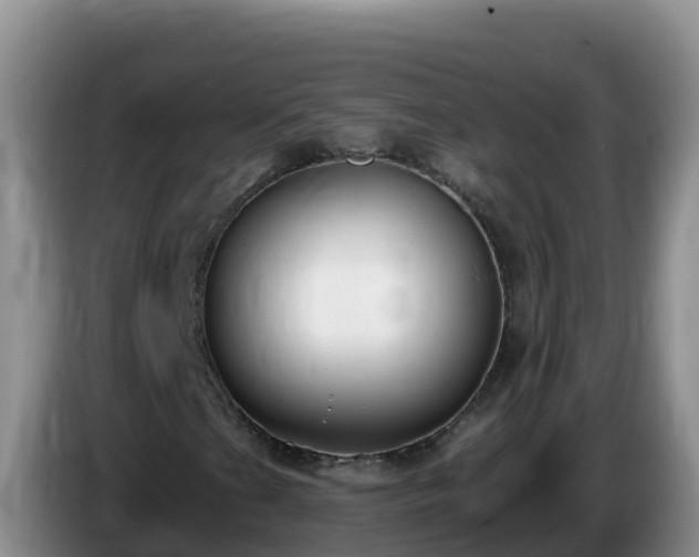 X0000086251201200704051233