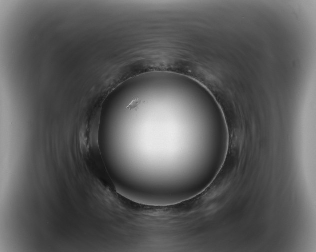 X0000086251202200704051233