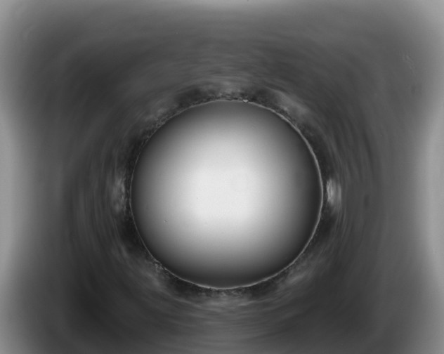 X0000086251203200704051233