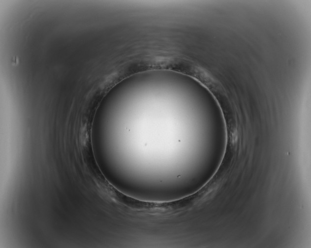 X0000086251204200704051233