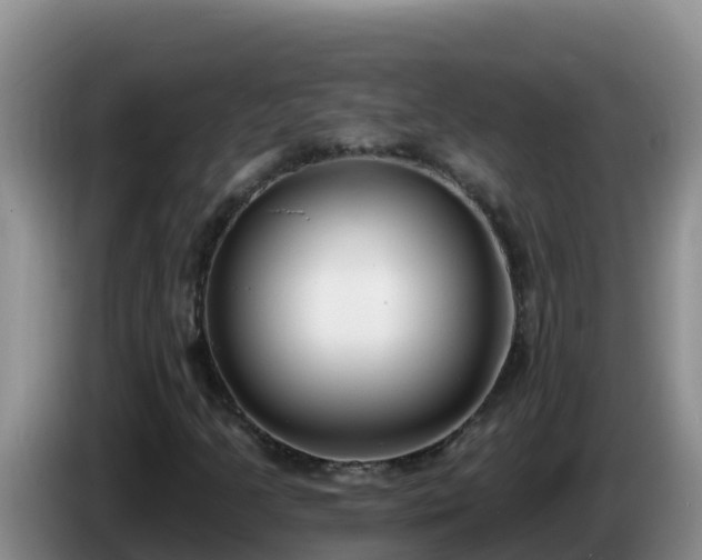 X0000086251205200704051233