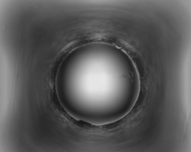 X0000086251206200704051233