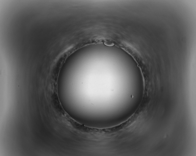 X0000086251207200704051233