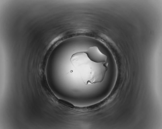 X0000086251210200704051233