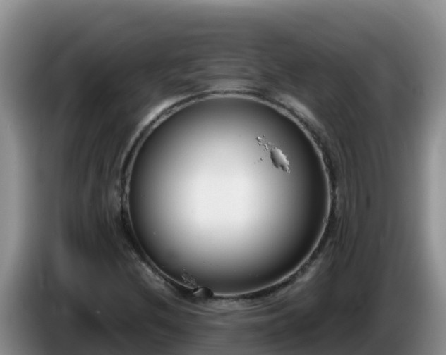 X0000086251212200704051233