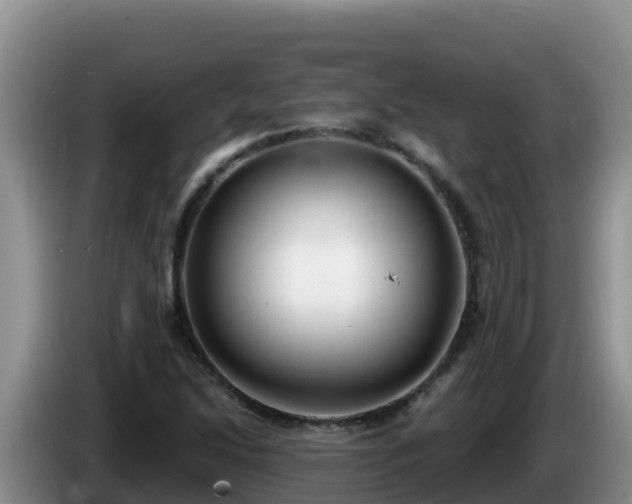 X0000086251214200704051233