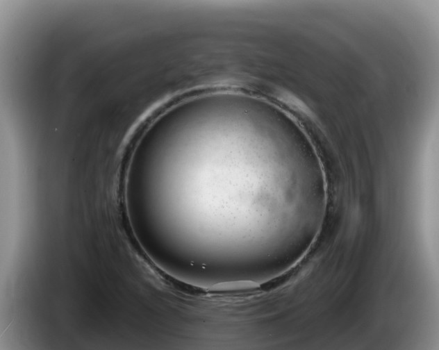 X0000086251216200704051233