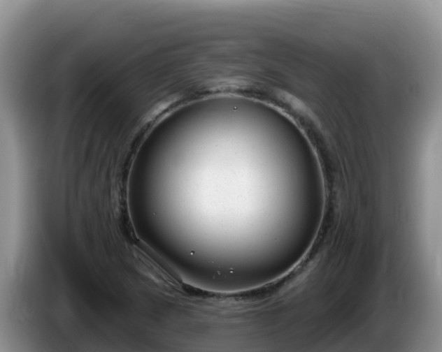 X0000086251217200704051233