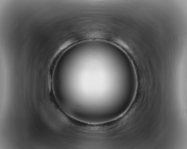 X0000086251219200704051233