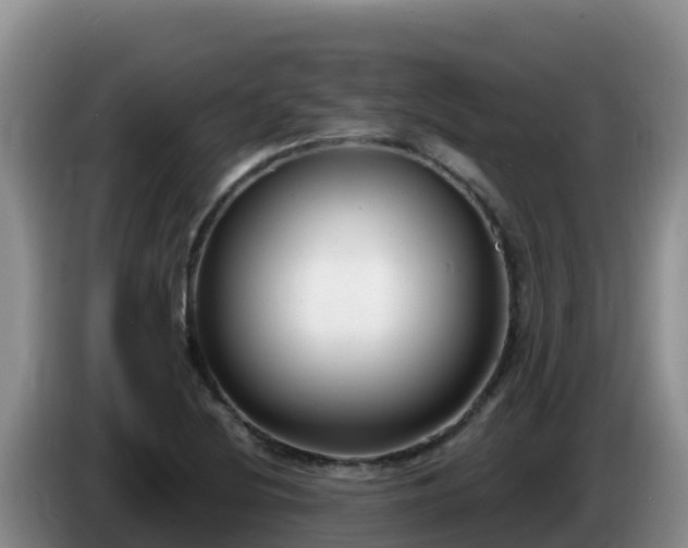 X0000086251220200704051233