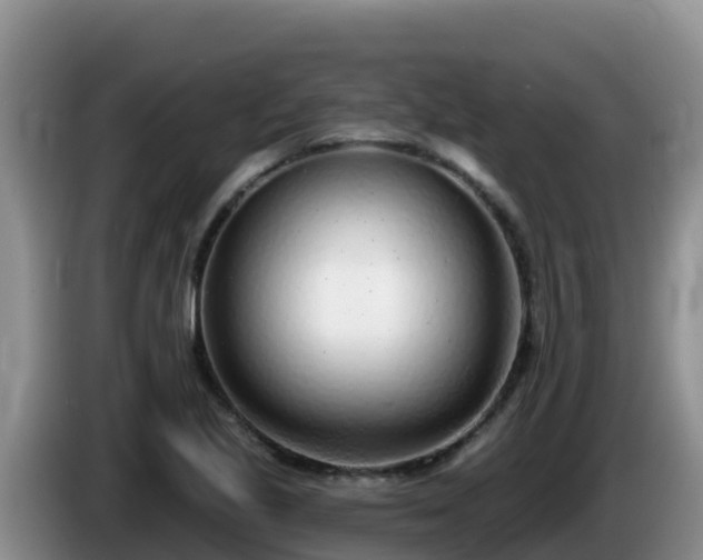 X0000086251221200704051233