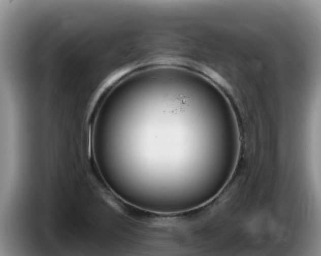 X0000086251223200704051233