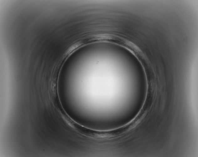 X0000086251225200704051233