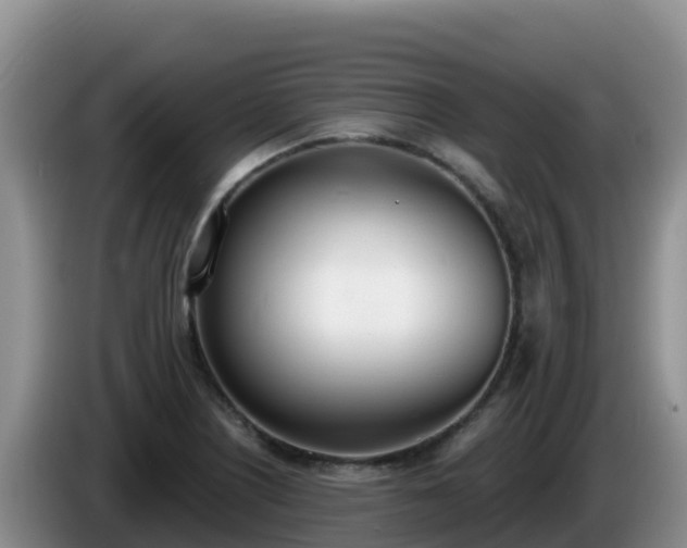 X0000086251226200704051233