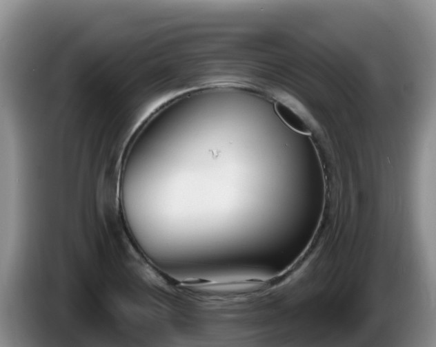 X0000086251228200704051233