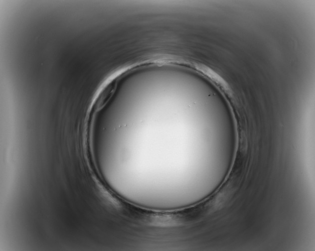 X0000086251231200704051233
