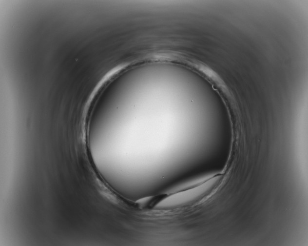 X0000086251232200704051233