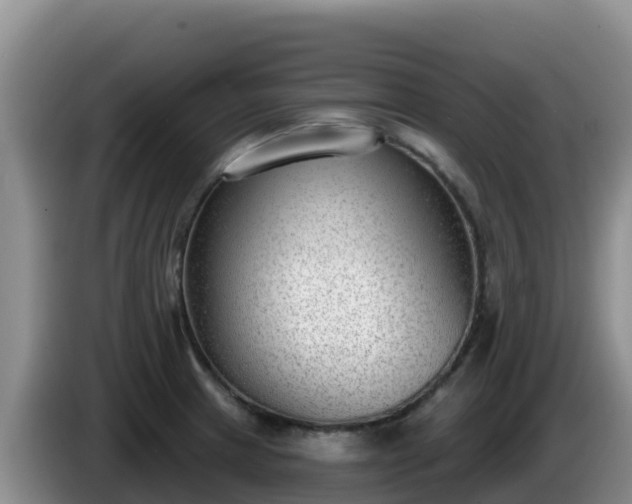 X0000086251233200704051233