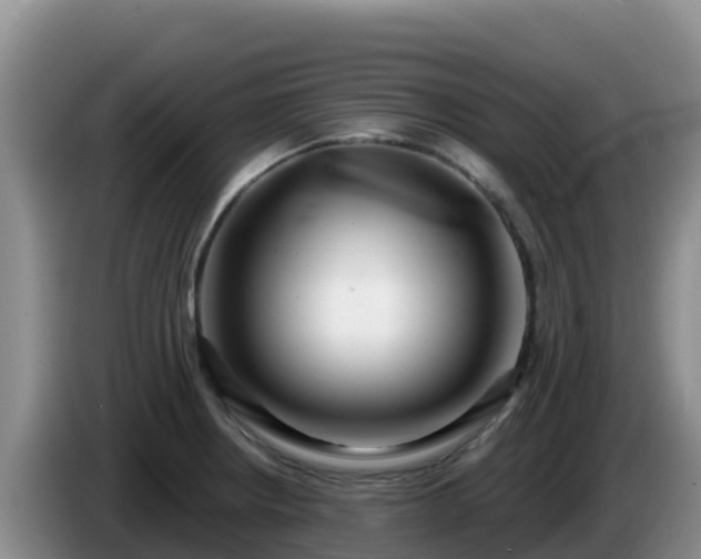 X0000086251234200704051233