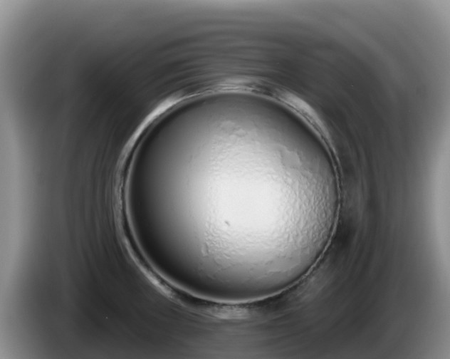 X0000086251235200704051233
