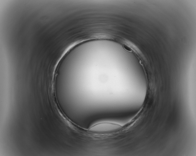 X0000086251236200704051233