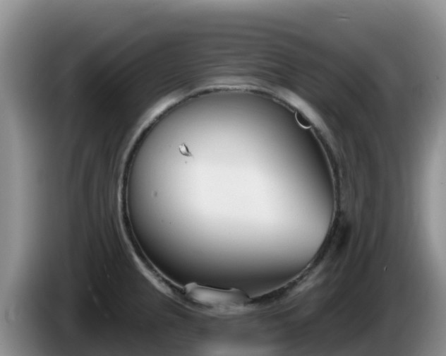 X0000086251237200704051233