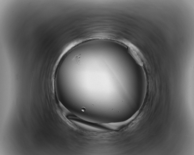 X0000086251238200704051234