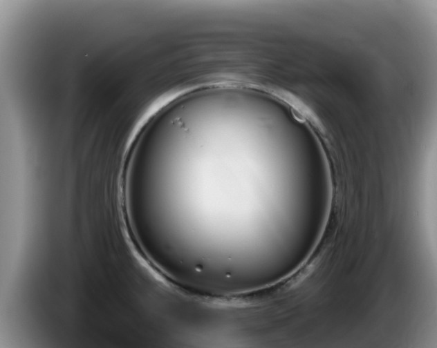 X0000086251239200704051234