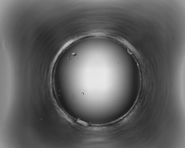 X0000086251240200704051234