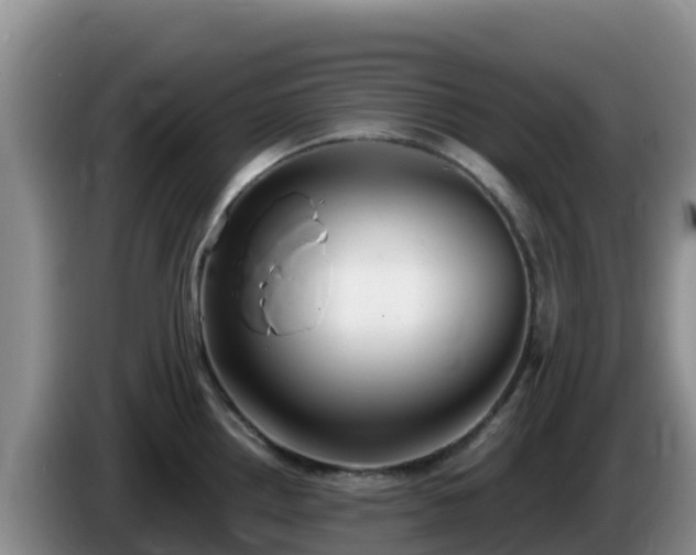 X0000086251242200704051234