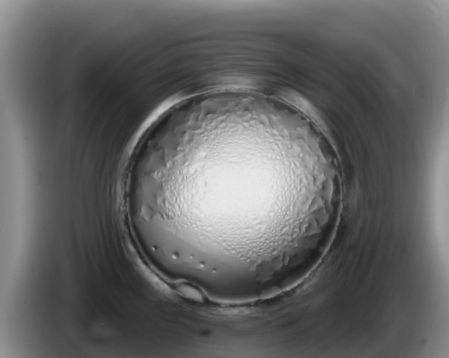 X0000086251243200704051234
