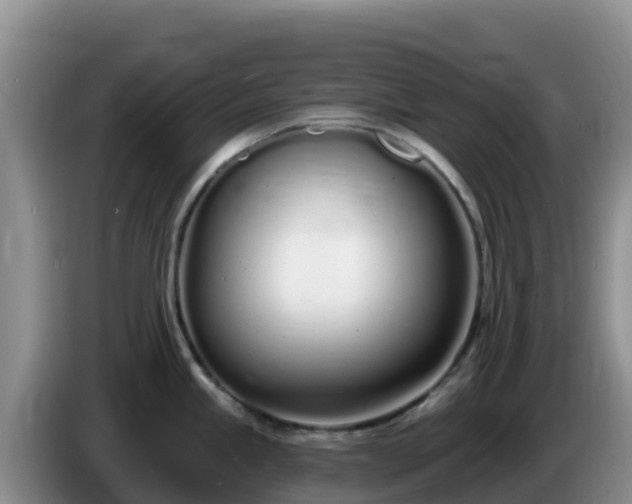 X0000086251245200704051234