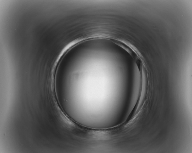 X0000086251246200704051234
