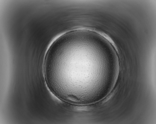 X0000086251247200704051234